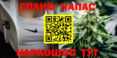 крисы Вязьма